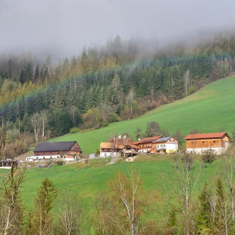Troadkasten - Ferienhaus am BIO-Bergbauernhof Kammerhofer vlg Roath - Haus mit 2 Schlafzimmern - 28