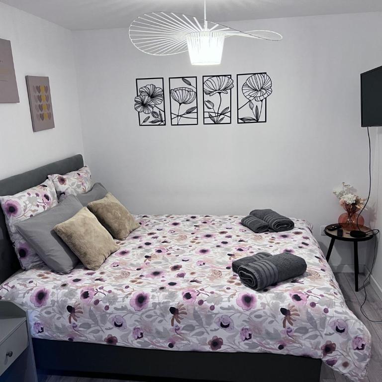 Le Patcho Charmant studio Confortable & Chaleureux , idéalement situé proche centre ville Quartier Neustadt Tribunal, Contades - Appartamento con 1 Camera da Letto - 6