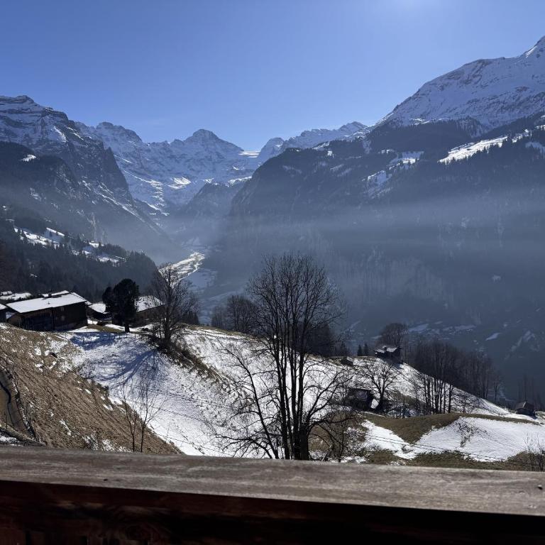 Chalet am Bluemewäg 7 - Apartment mit 1 Schlafzimmer, Balkon und Bergblick - 8