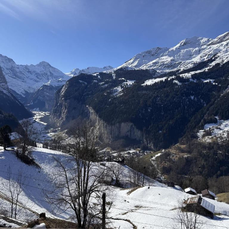 Chalet am Bluemewäg 7 - Apartment mit 1 Schlafzimmer, Balkon und Bergblick - 21
