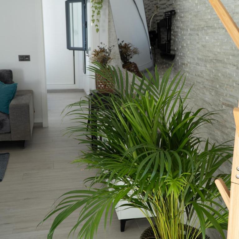 Apartamento - Casa Trufa - Casa con 1 dormitorio - 14