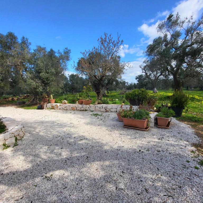 Trullo incantevole - Appartamento - 14