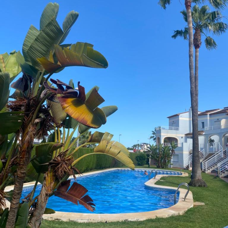 lacasitadelsurf - Apartamento de 1 dormitorio - 1