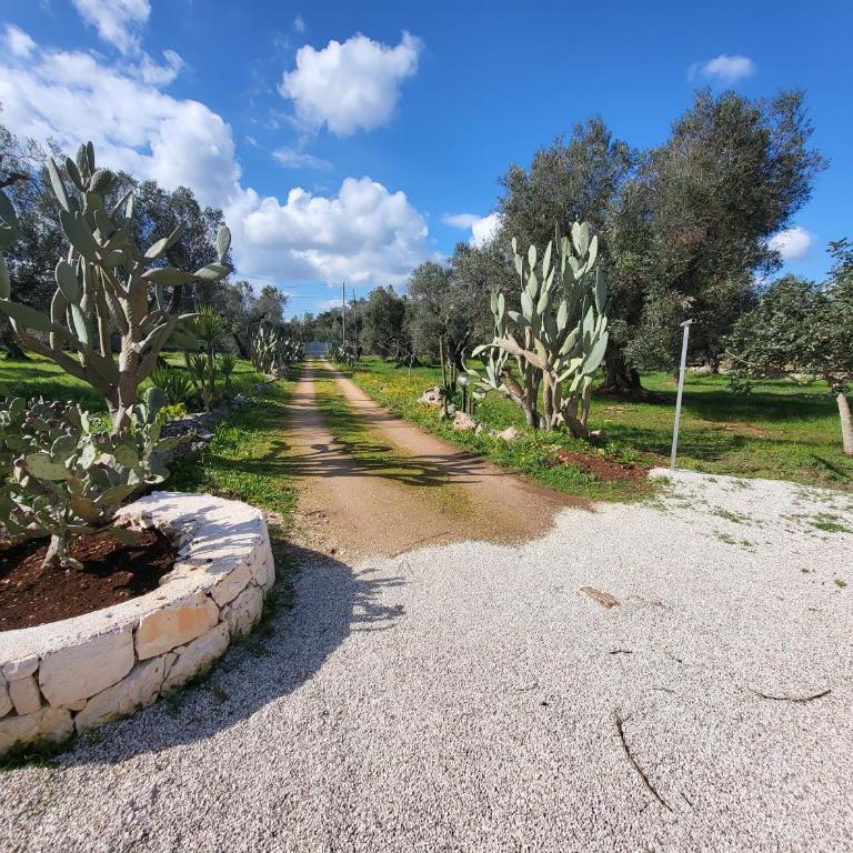 Trullo magico - Appartamento con 1 Camera da Letto - 6