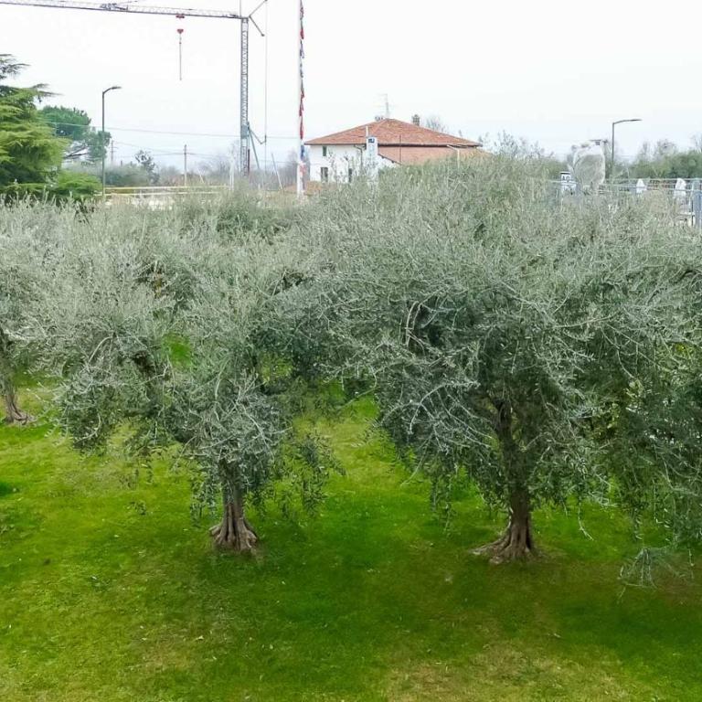 Apartment Praleor - Appartamento con 2 Camere da Letto - 10