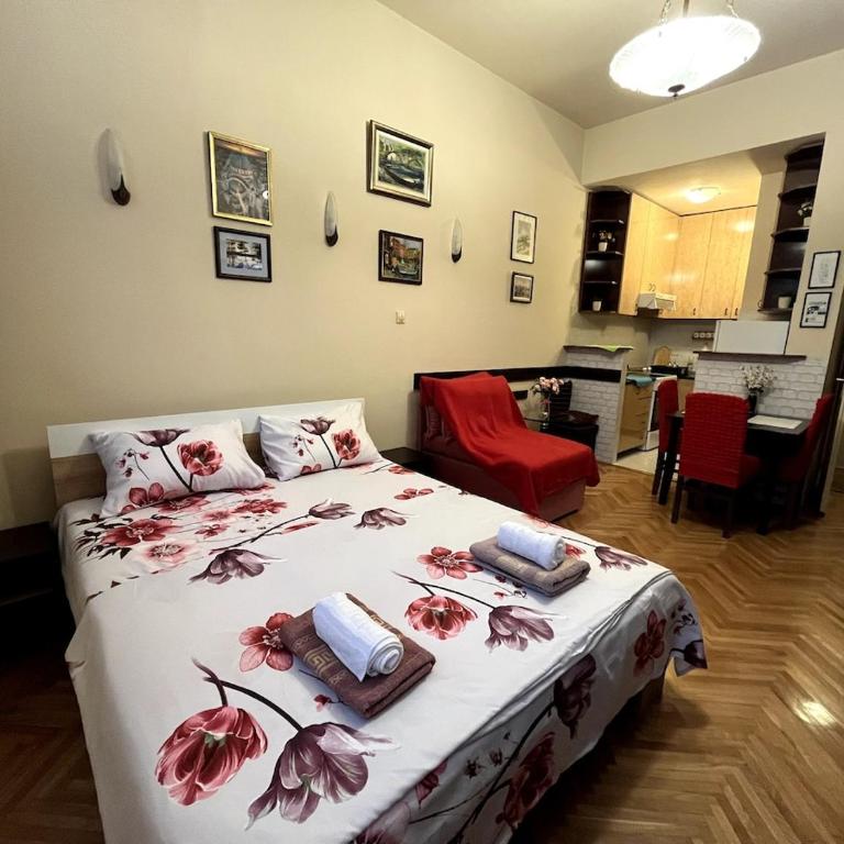 Arena view - Apartman sa 1 Spavaćom Sobom - 1
