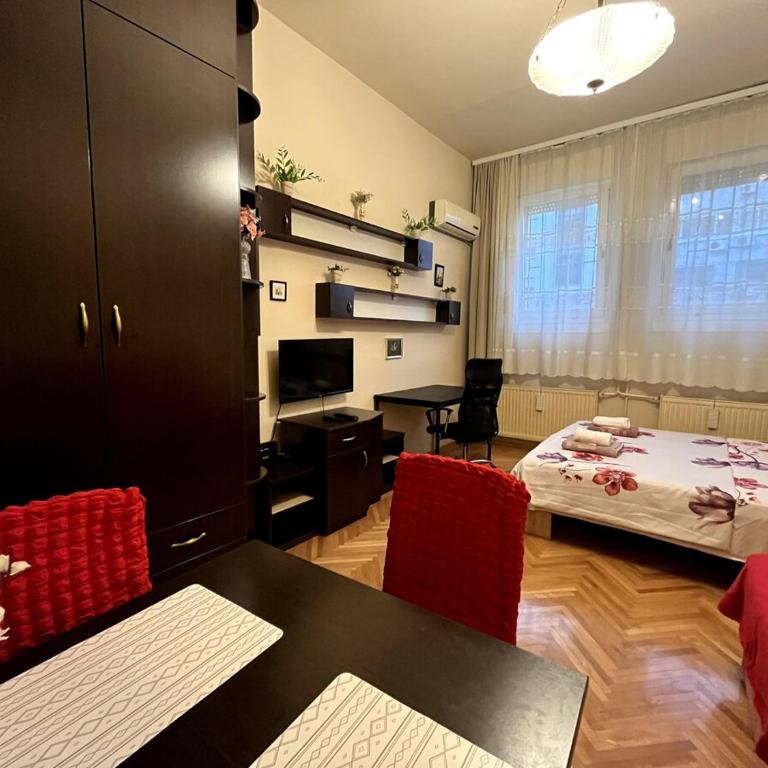 Arena view - Apartman sa 1 Spavaćom Sobom - 4