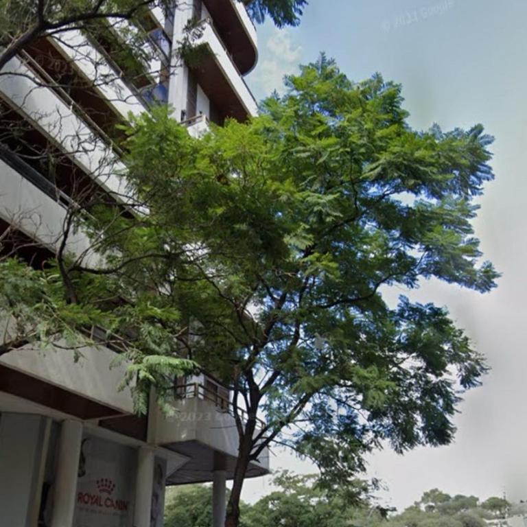 Ciro - Apartamento de 2 dormitorios - 5