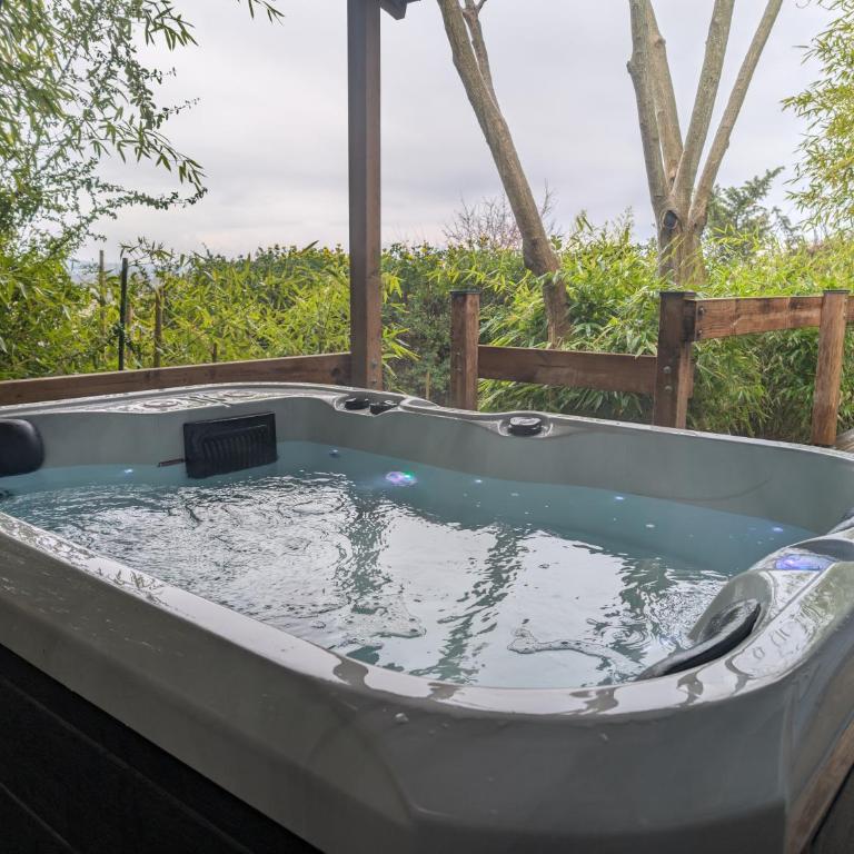 Le Chalet Bleu - jacuzzi - One-Bedroom Apartment - 26