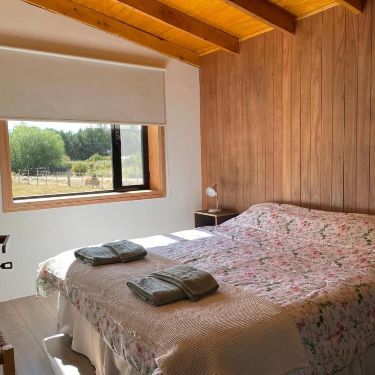 Cabaña Lilacho - Chalet de 1 dormitorio - 10