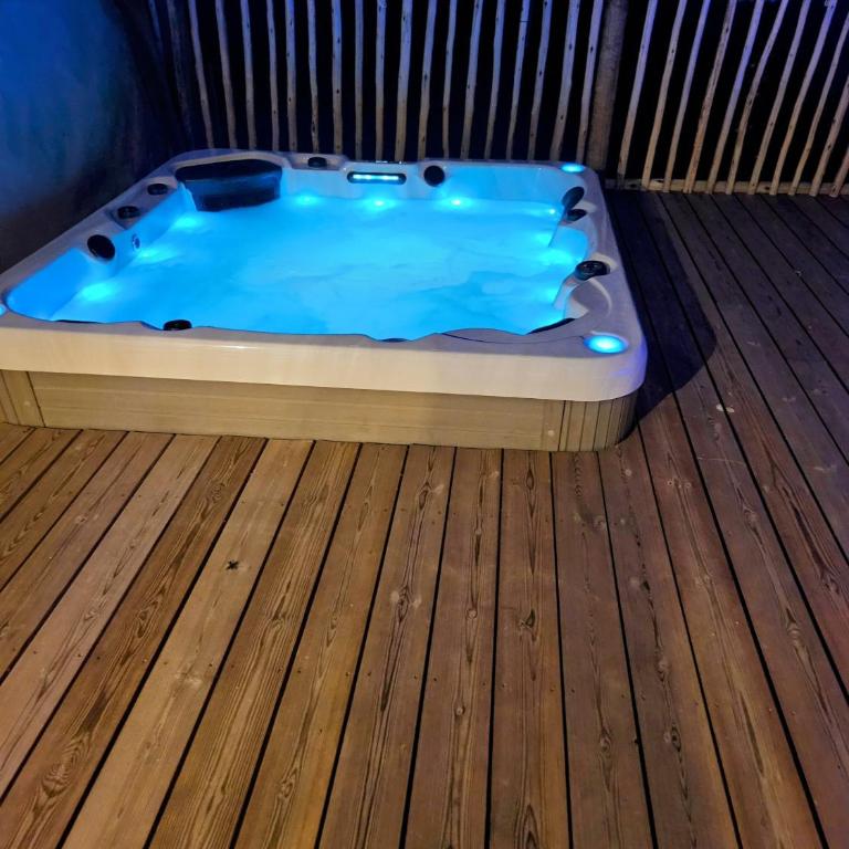 La Villa des Lions - Villa avec Piscine Privée - 7