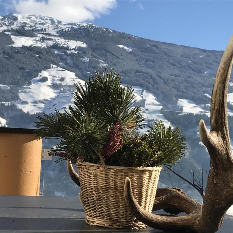 Landhaus Rieder im Zillertal - Two-Bedroom Apartment with Mountain View - 4