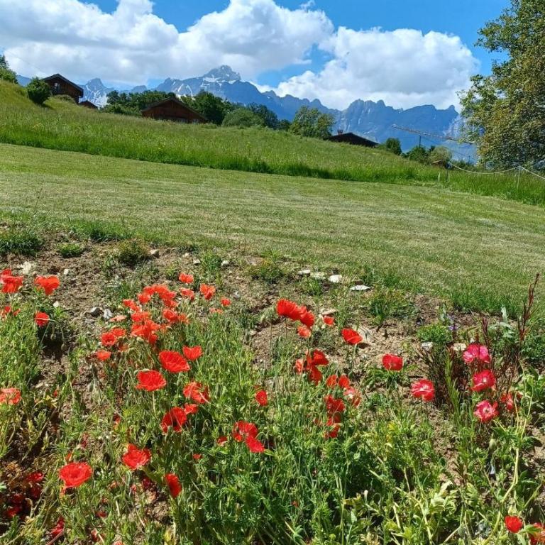 Gîte Les Aravis - Appartement 1 Chambre - 11