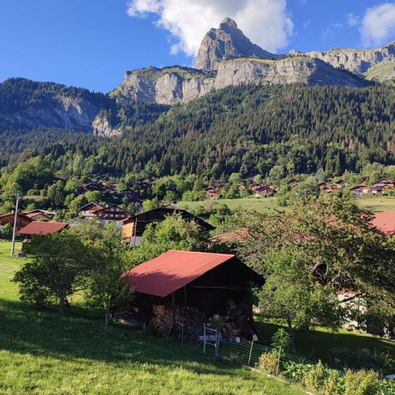 Gîte Les Aravis - Appartement 1 Chambre - 23