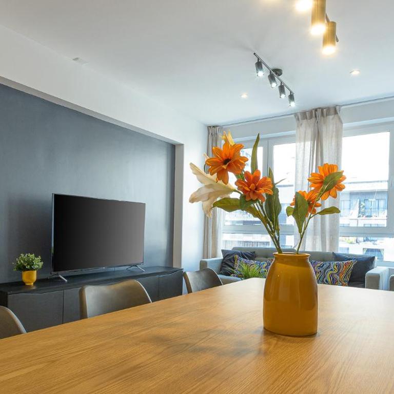 Spacious touristic apartment - Apartamento - 42