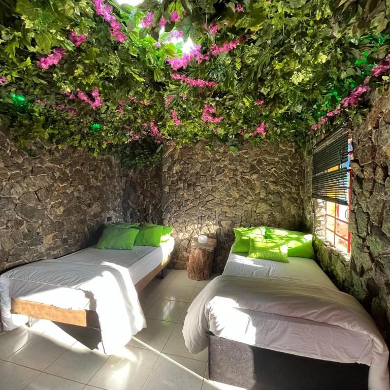 Glamping Spa & Coffee Tour - Tienda - 12