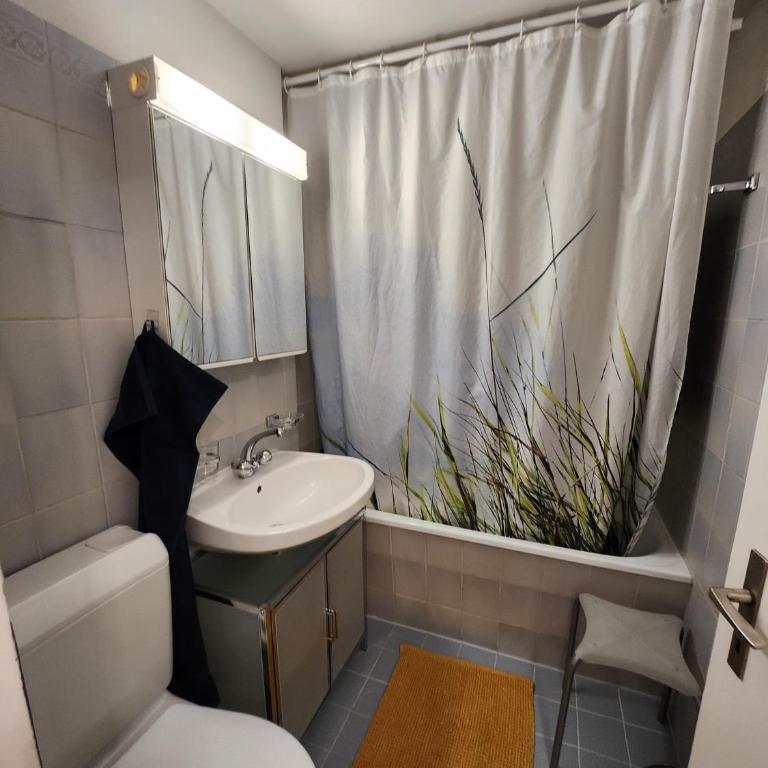 Stilvolles und ruhiges Apartment mit privater 60m2 Sonnenterrasse bei der Parsennbahn - Apartment mit 2 Schlafzimmern und Bergblick - 20