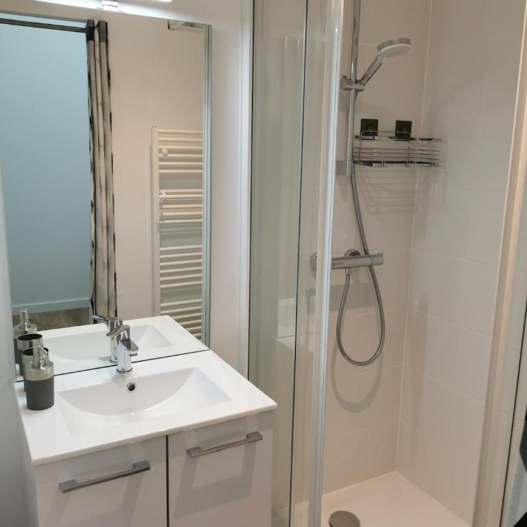 Logement entier à 10 minutes du cœur d'Angers - Appartamento con 2 Camere da Letto - 4