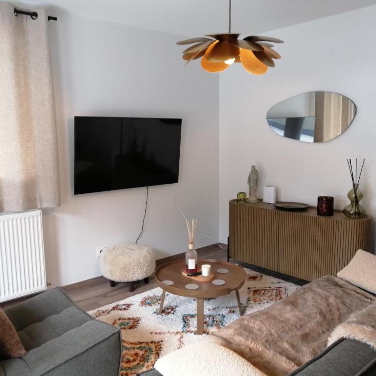 Le SANTA - Appartement 2 Chambres - 19