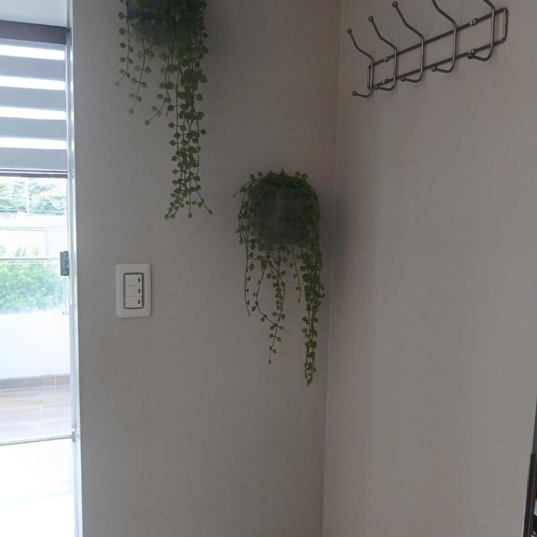 Ideal en Baruc Dos - Apartamento de 1 dormitorio - 11