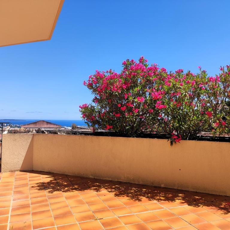 Appartement ORION magnifique vue mer et montagne - Two-Bedroom Apartment - 21