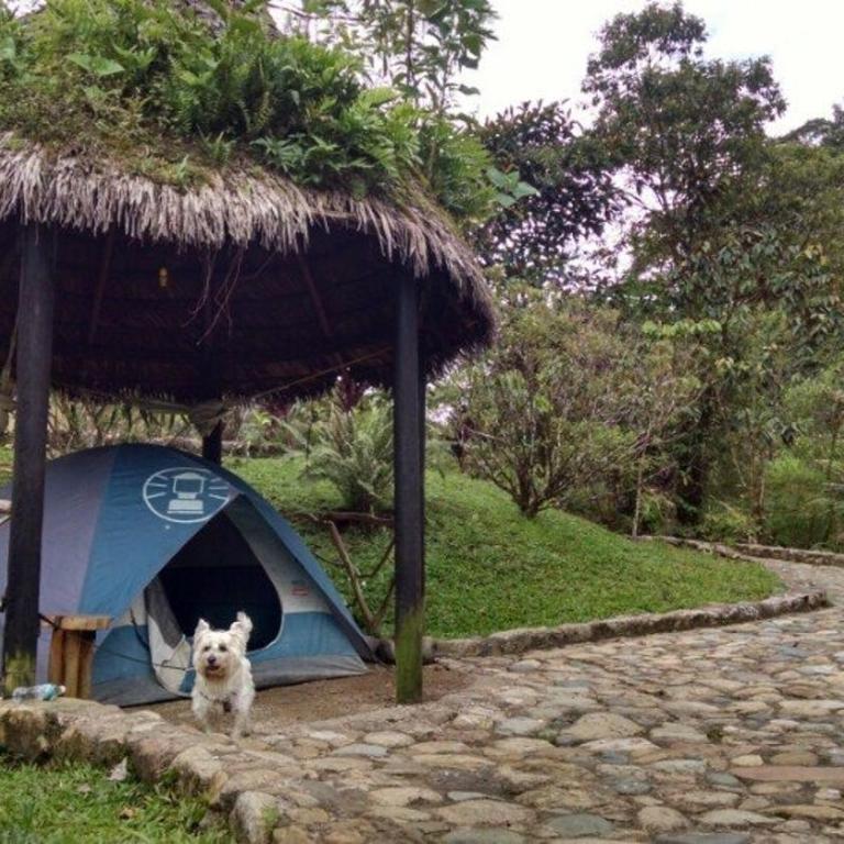Finca de la Vaca - Camping - Parcela - 5