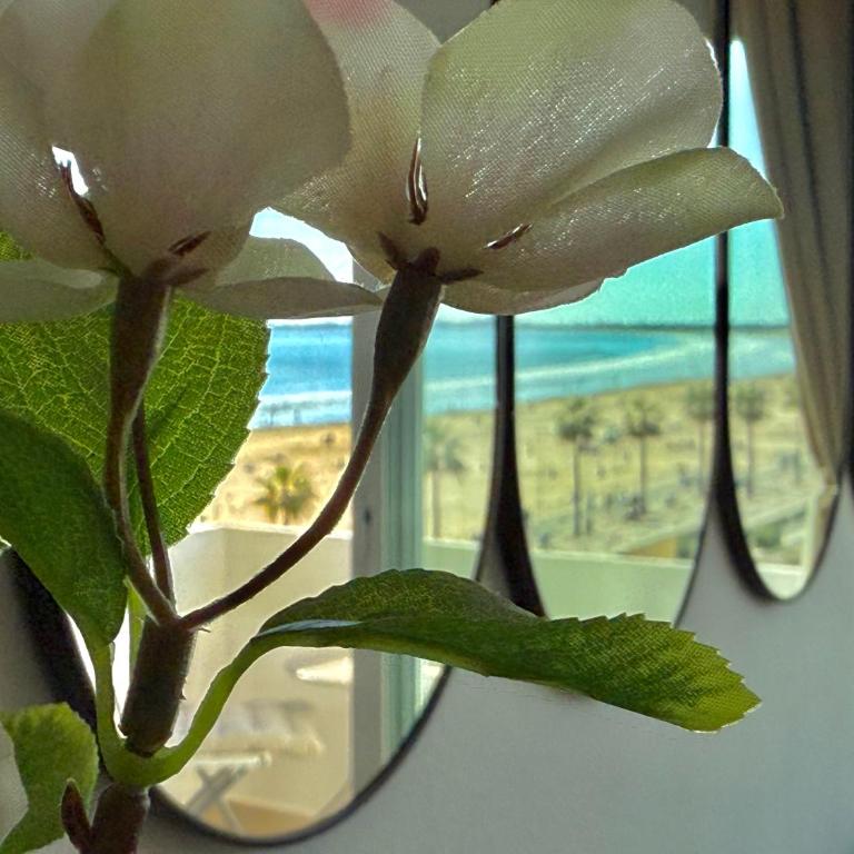 Vistas al mar primera linea playa Valdelagrana - Apartamento de 1 dormitorio - 32