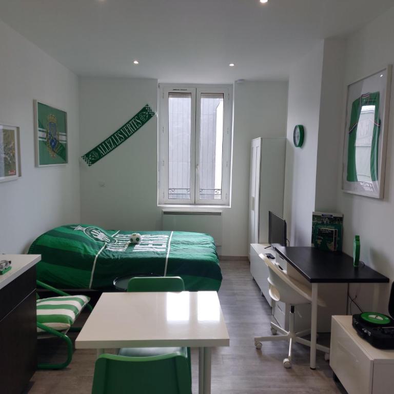 Studio cosy -ALLEZ LES VERTS- - Apartment mit 1 Schlafzimmer - 1