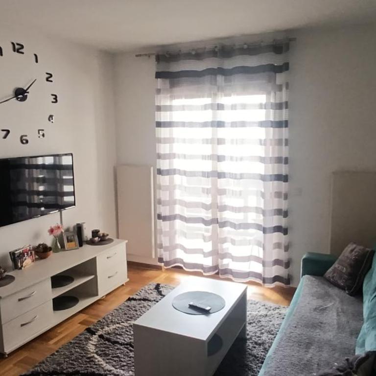 Apartman Aleksandar - Apartman sa 1 Spavaćom Sobom - 8