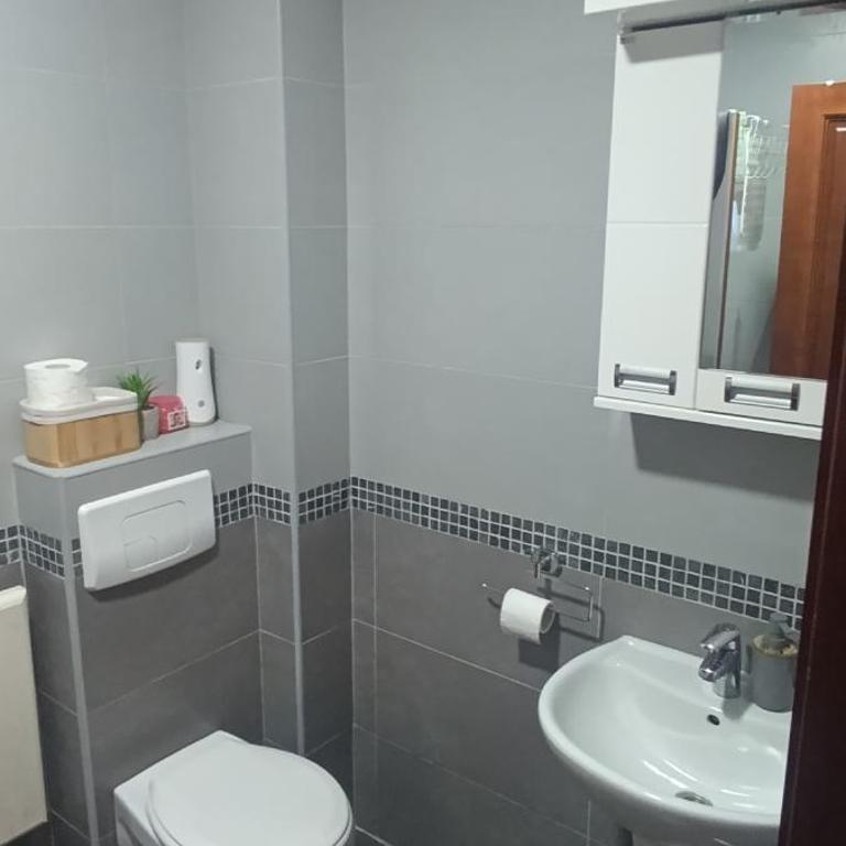 Apartman Aleksandar - Apartman sa 1 Spavaćom Sobom - 20