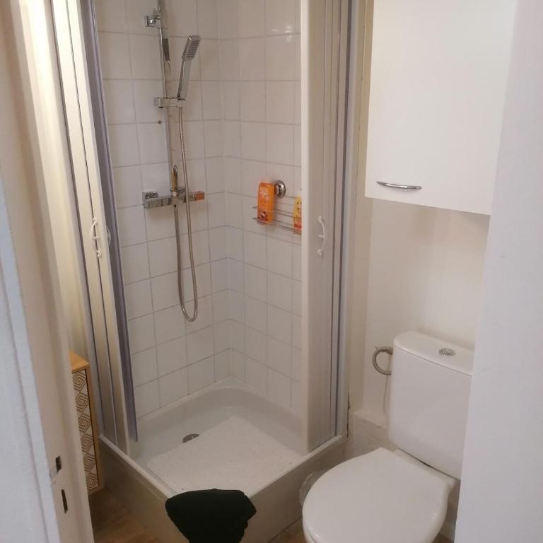 Cozy duplex en RDC hyper centre le Mans gare circuit des 24h - Apartment mit 1 Schlafzimmer - 33