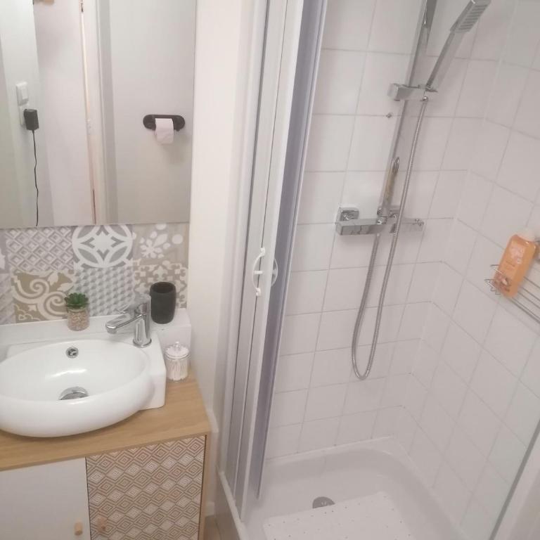 Cozy duplex en RDC hyper centre le Mans gare circuit des 24h - Apartment mit 1 Schlafzimmer - 61