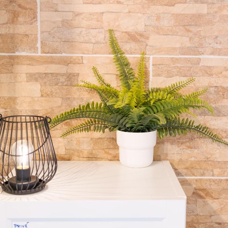 Les Elfes - avec entrée autonome, clim neuve, jardin, parking privé & gourmandises offertes ! - - Apartment - 4