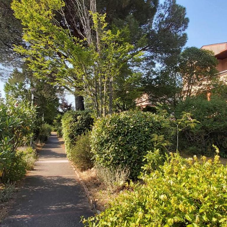 Les Elfes - avec entrée autonome, clim neuve, jardin, parking privé & gourmandises offertes ! - - Apartment - 21