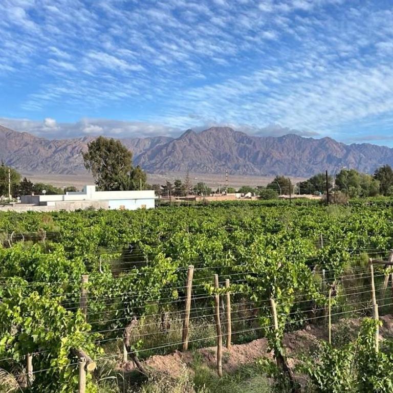 Cabañas Boutique La Soñada - One-Bedroom Apartment - 11