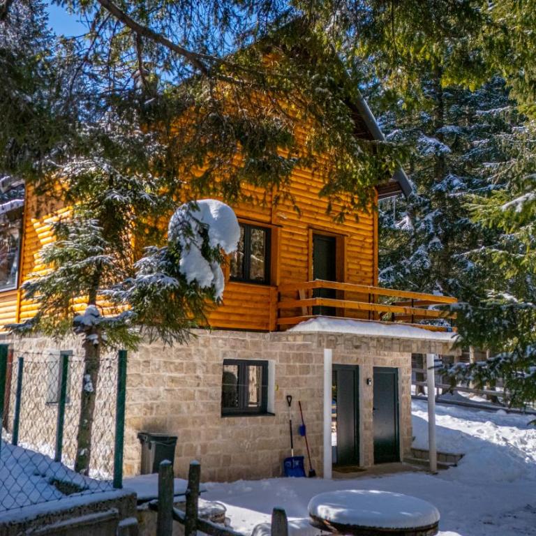 Black Lake Chalet-300m from Black Lake,Durmitor - One-Bedroom House - 9