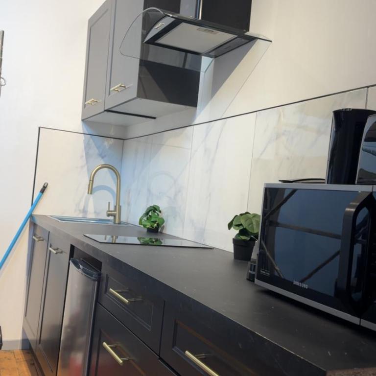 Le Loft, T2 duplex centre ville historique - Appartement 1 Chambre - 17