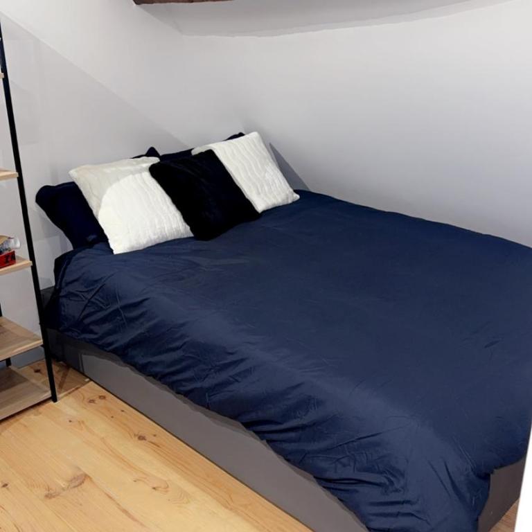 Le Loft, T2 duplex centre ville historique - Appartement 1 Chambre - 42