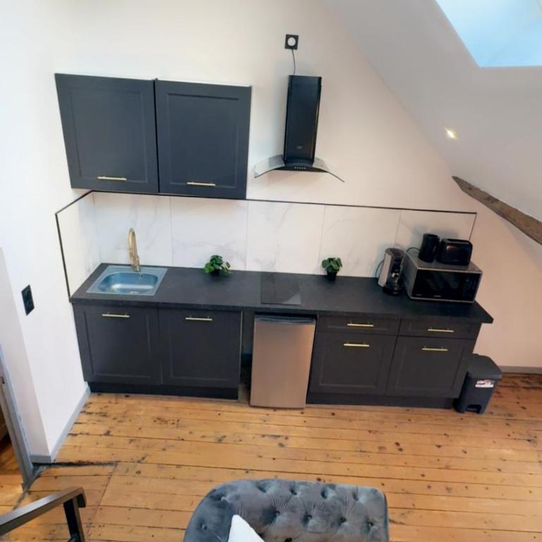 Le Loft, T2 duplex centre ville historique - Appartement 1 Chambre - 25