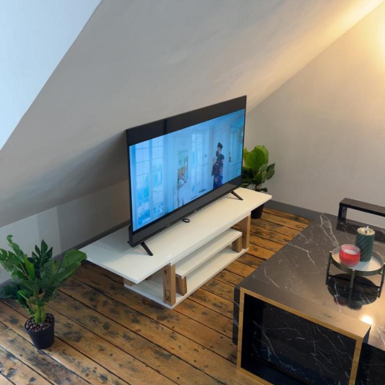 Le Loft, T2 duplex centre ville historique - Appartement 1 Chambre - 24