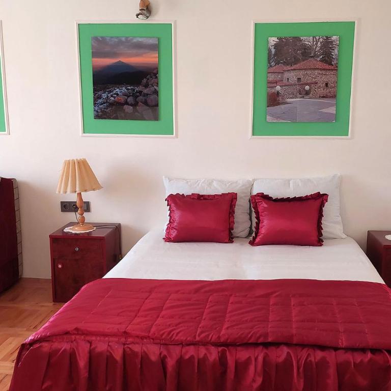 Apartmani HARMONIJA - Sokobanja - Deluxe Studio - 1
