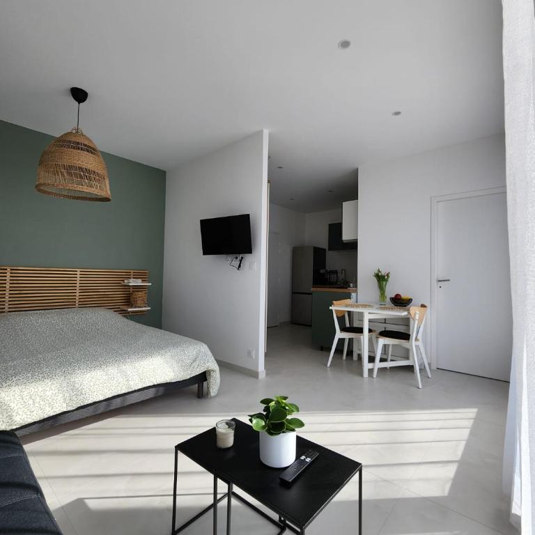 Studio lumineux avec grande terrasse et vue lac, Parking privé - Appartement-Studio avec 1 Lit Double - 25