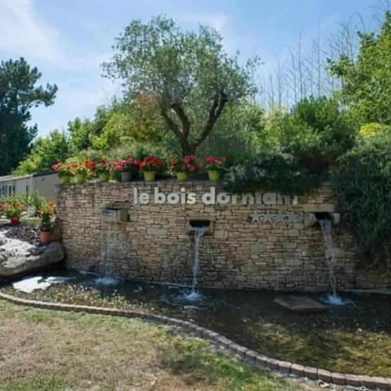 Mobil-home bww camping le bois dormant - Mobile Home - 33