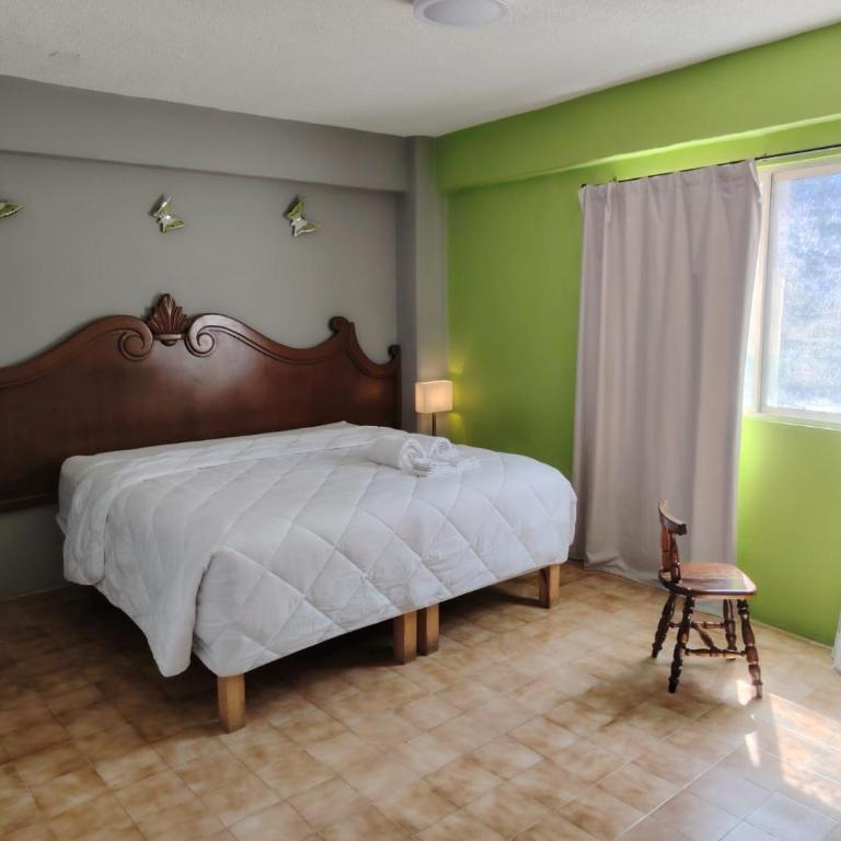 Cabo Tortuga Hotel Boutique - Habitación Selva con cama extragrande - 6