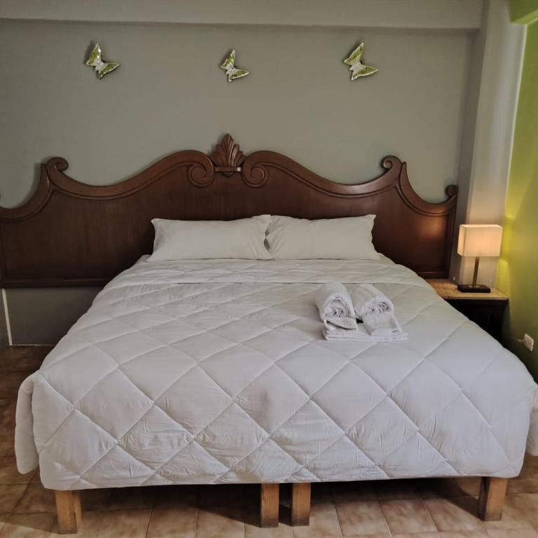 Cabo Tortuga Hotel Boutique - Habitación Selva con cama extragrande - 7