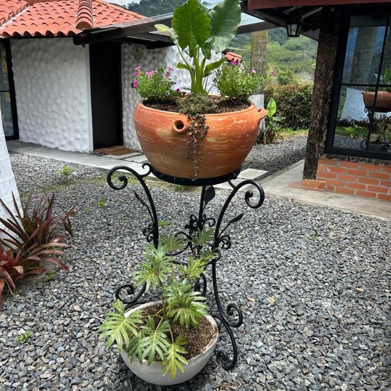 Aldea Monkey Cabaña Novios - Apartamento de 1 dormitorio - 26