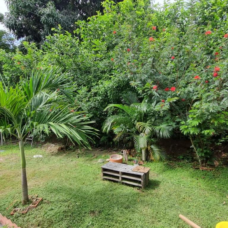 Casa Villa Sarisa Tolima - Villa de 3 dormitorios - 5