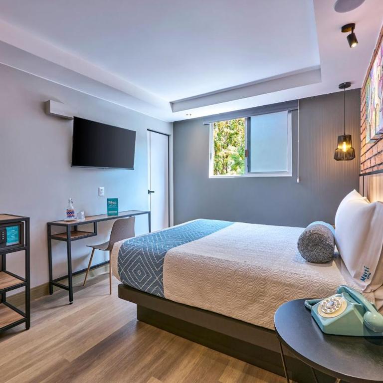 VOS Condesa - Standard Queen Room - 5