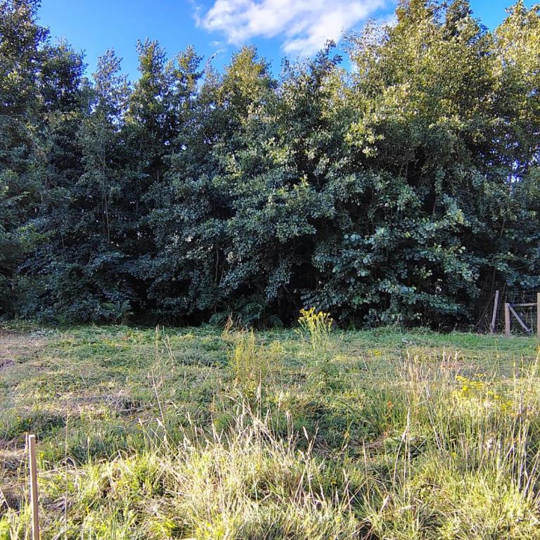 Cabaña Valdivia Piedra Blanca 2 - Apartamento de 2 dormitorios - 17