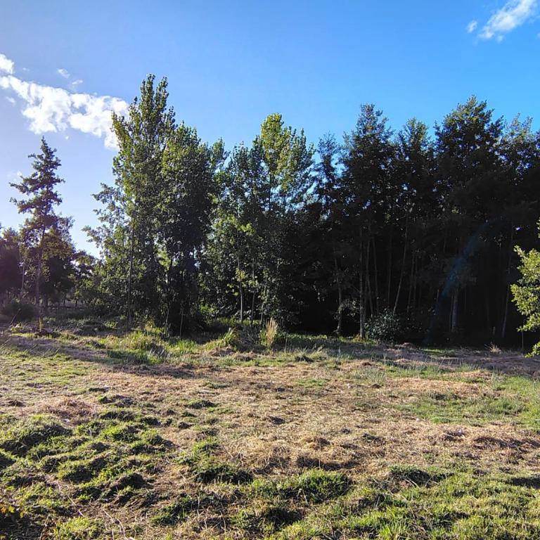 Cabaña Valdivia Piedra Blanca 2 - Apartamento de 2 dormitorios - 16